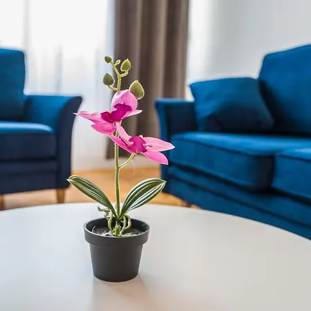 Nice Apartmán